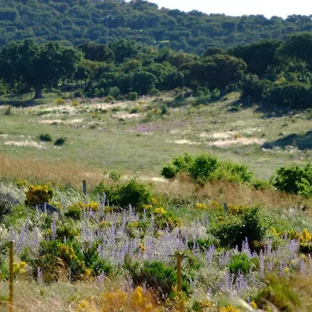 El Carmen Fresa Casa rural *