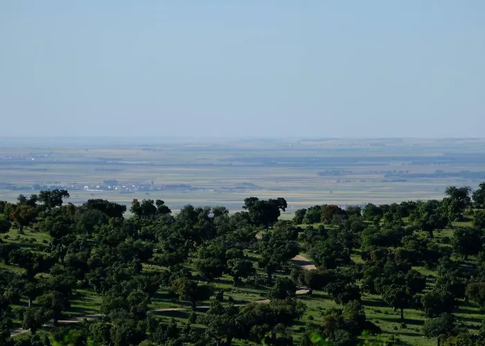Lantställe El Carmen Fresa *