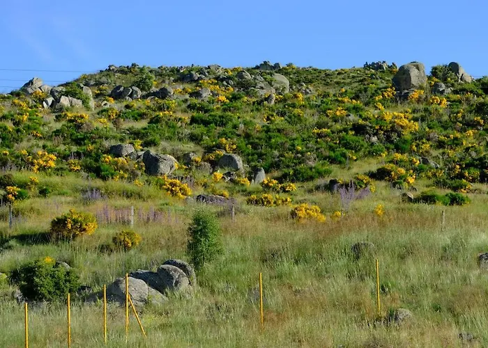 Lantställe El Carmen Fresa Marlin