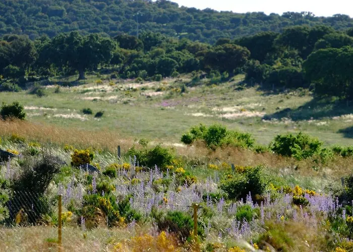 El Carmen Fresa Lantställe *